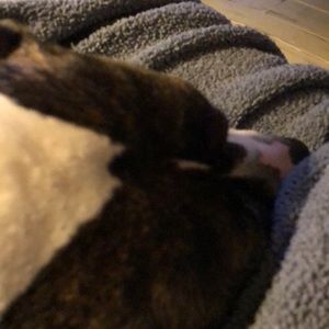 Meet your Posher, Sam